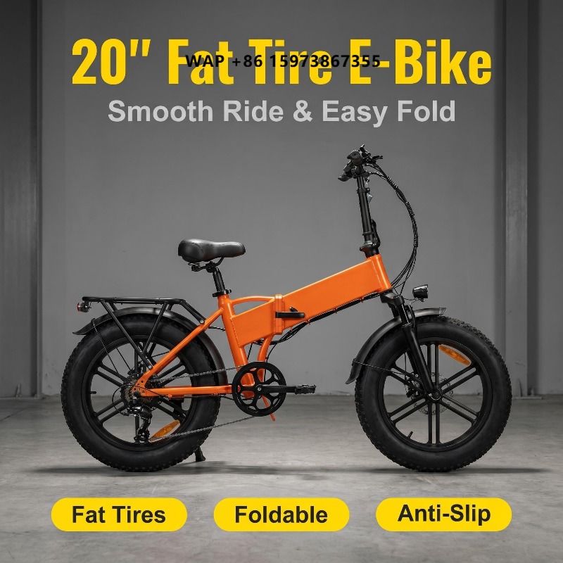 Tragbares, faltbares 20-Zoll-E – Cycling For Commute Bewertung und Preis
