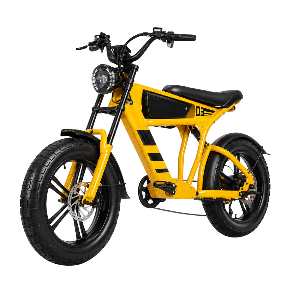 48V 18,2Ah 1000W Fatbike Elekt – Cycling Commute Speed Bewertung und Preis