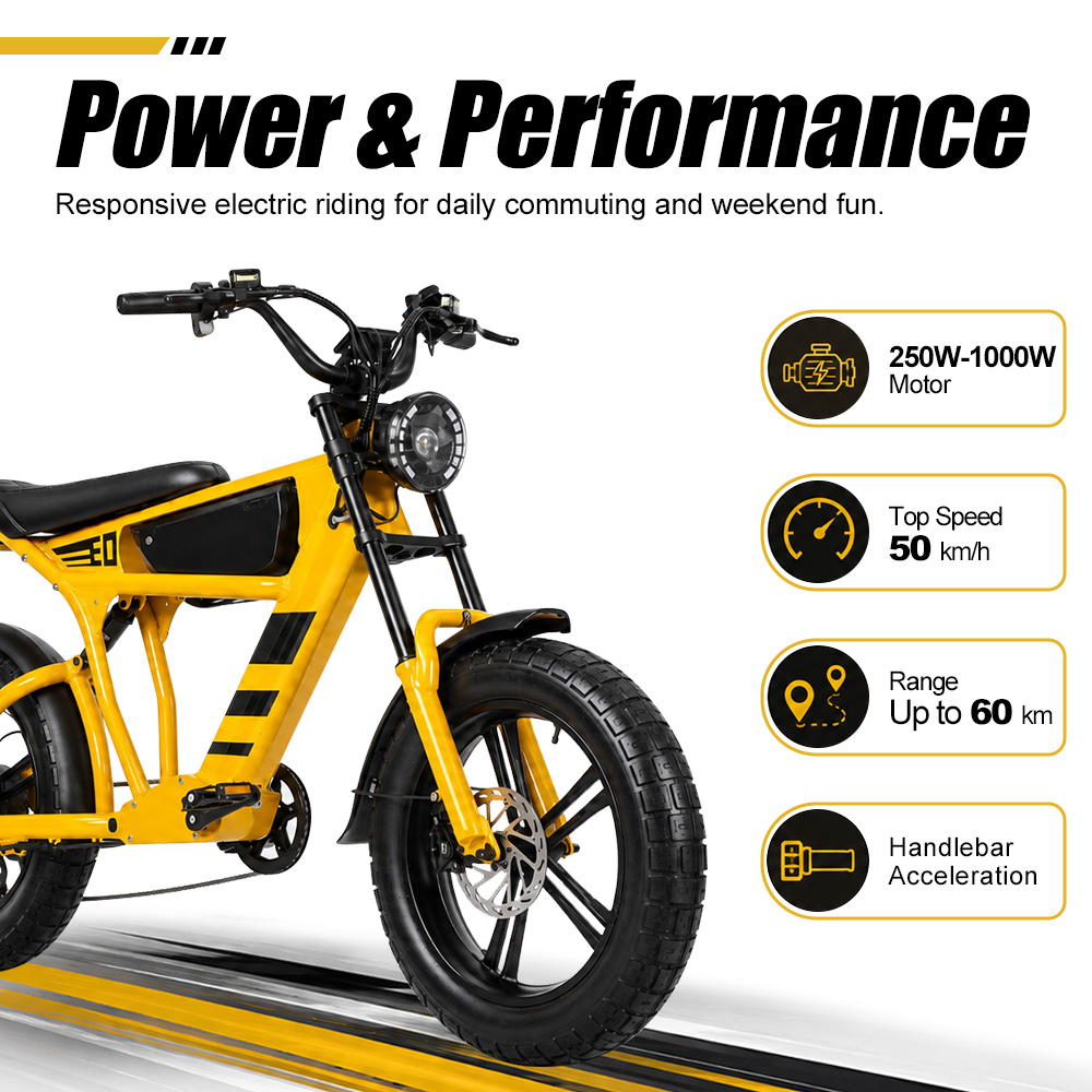 48V 18,2Ah 1000W Fatbike Elekt – Cycling Commute Speed Bewertung und Preis